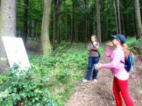 Referencie - Leto s Indiana Jonesom 30.6. - 13.7. 2013